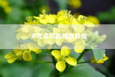 天龙虚拟机修改教程