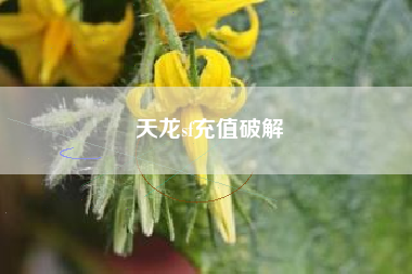 天龙sf充值破解