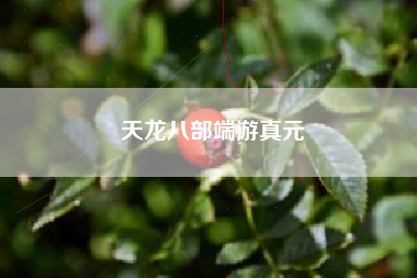 天龙八部端游真元