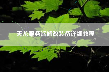 天龙服务端修改装备详细教程