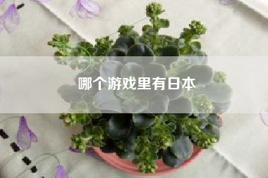 哪个游戏里有日本