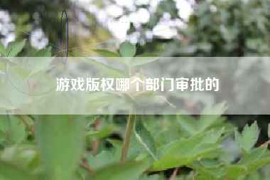 游戏版权哪个部门审批的