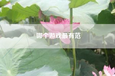 哪个游戏最有范