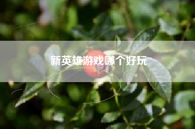 新英雄游戏哪个好玩