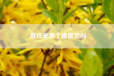 游戏是哪个维度空间