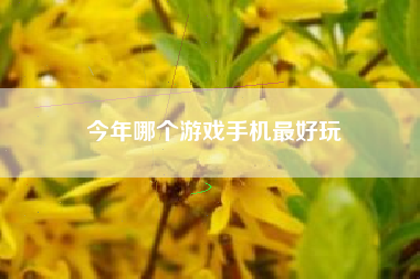 今年哪个游戏手机最好玩