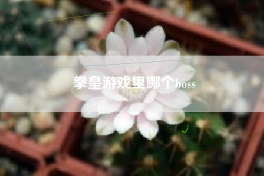 拳皇游戏里哪个boss