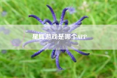 星辉游戏是哪个APP