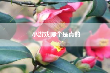 小游戏哪个是真的