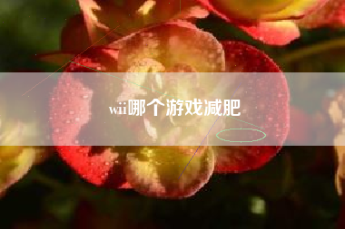 wii哪个游戏减肥