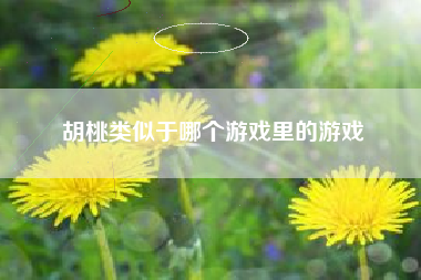 胡桃类似于哪个游戏里的游戏