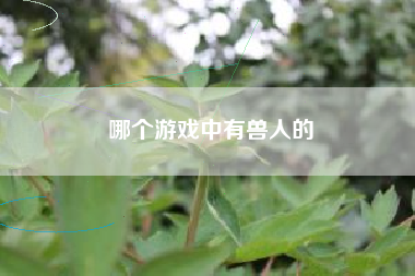 哪个游戏中有兽人的