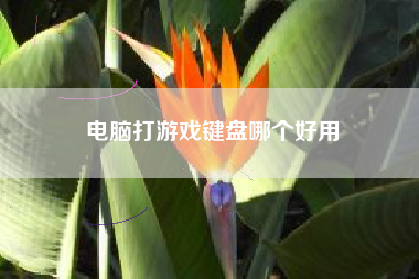 电脑打游戏键盘哪个好用