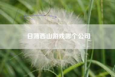 日薄西山游戏哪个公司