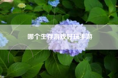 哪个生存游戏好玩手游