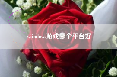 wiindows游戏哪个平台好