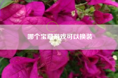 哪个宝藏游戏可以换装