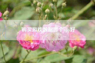 购买游戏数据哪个app好