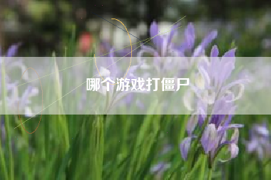 哪个游戏打僵尸