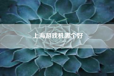 上海游戏机哪个好