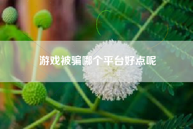 游戏被骗哪个平台好点呢