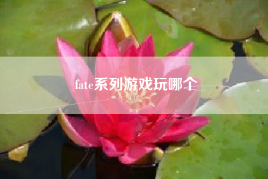 fate系列游戏玩哪个