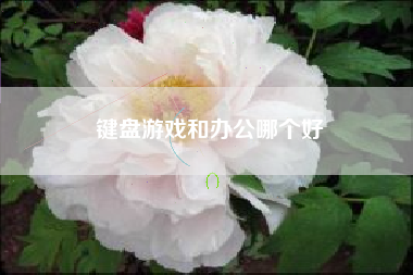 键盘游戏和办公哪个好