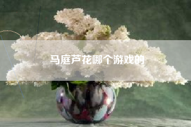 马庭芦花哪个游戏的