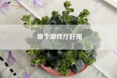 哪个游戏厅好用