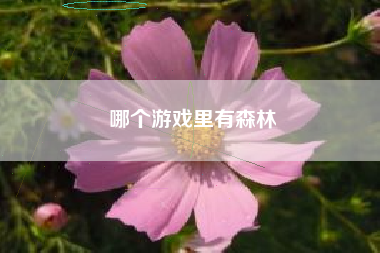 哪个游戏里有森林