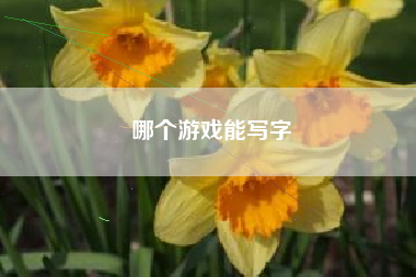 哪个游戏能写字