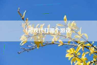 游戏代打哪个游戏