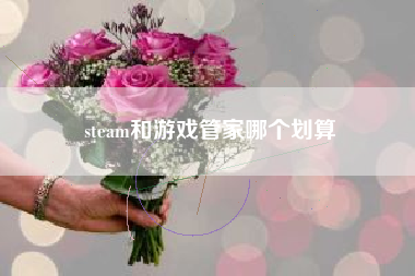 steam和游戏管家哪个划算