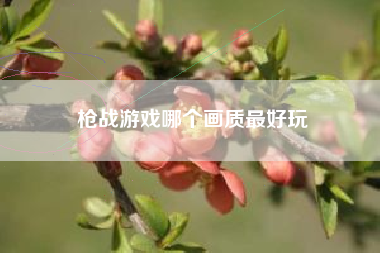 枪战游戏哪个画质最好玩