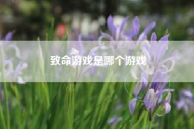 致命游戏是哪个游戏