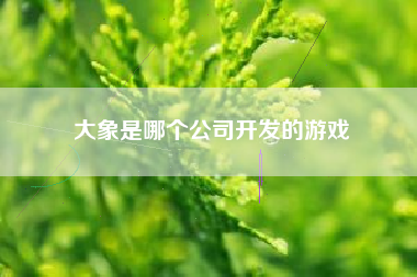 大象是哪个公司开发的游戏