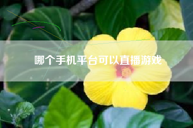 哪个手机平台可以直播游戏