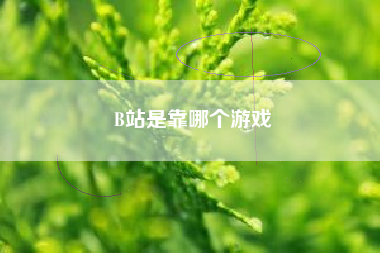 B站是靠哪个游戏