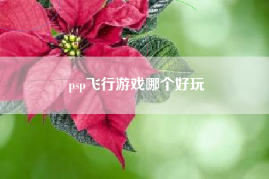 psp飞行游戏哪个好玩