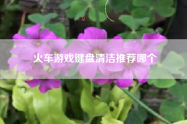 火车游戏键盘清洁推荐哪个