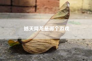 撼天降龙是哪个游戏