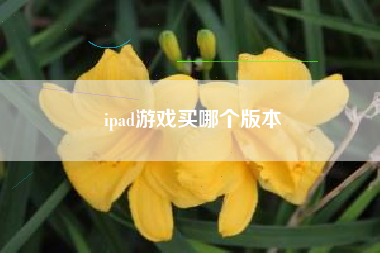 ipad游戏买哪个版本