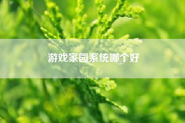 游戏家园系统哪个好