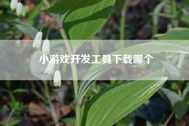 小游戏开发工具下载哪个