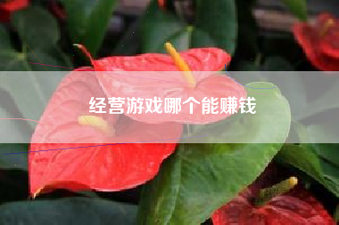 经营游戏哪个能赚钱