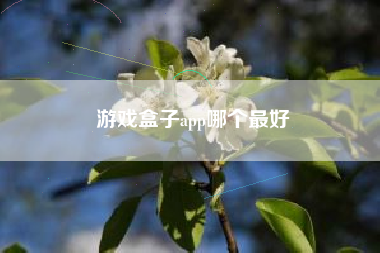 游戏盒子app哪个最好