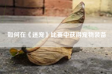 如何在《迷宠》比赛中获得宠物装备