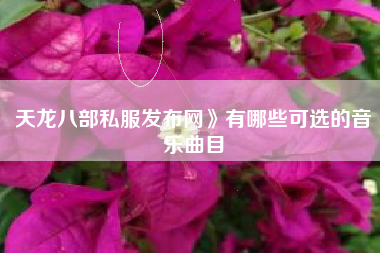 天龙八部私服发布网》有哪些可选的音乐曲目