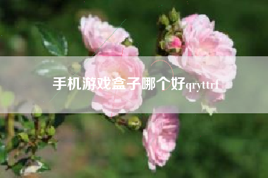 手机游戏盒子哪个好qryttrf