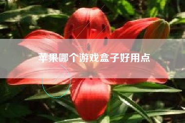 苹果哪个游戏盒子好用点